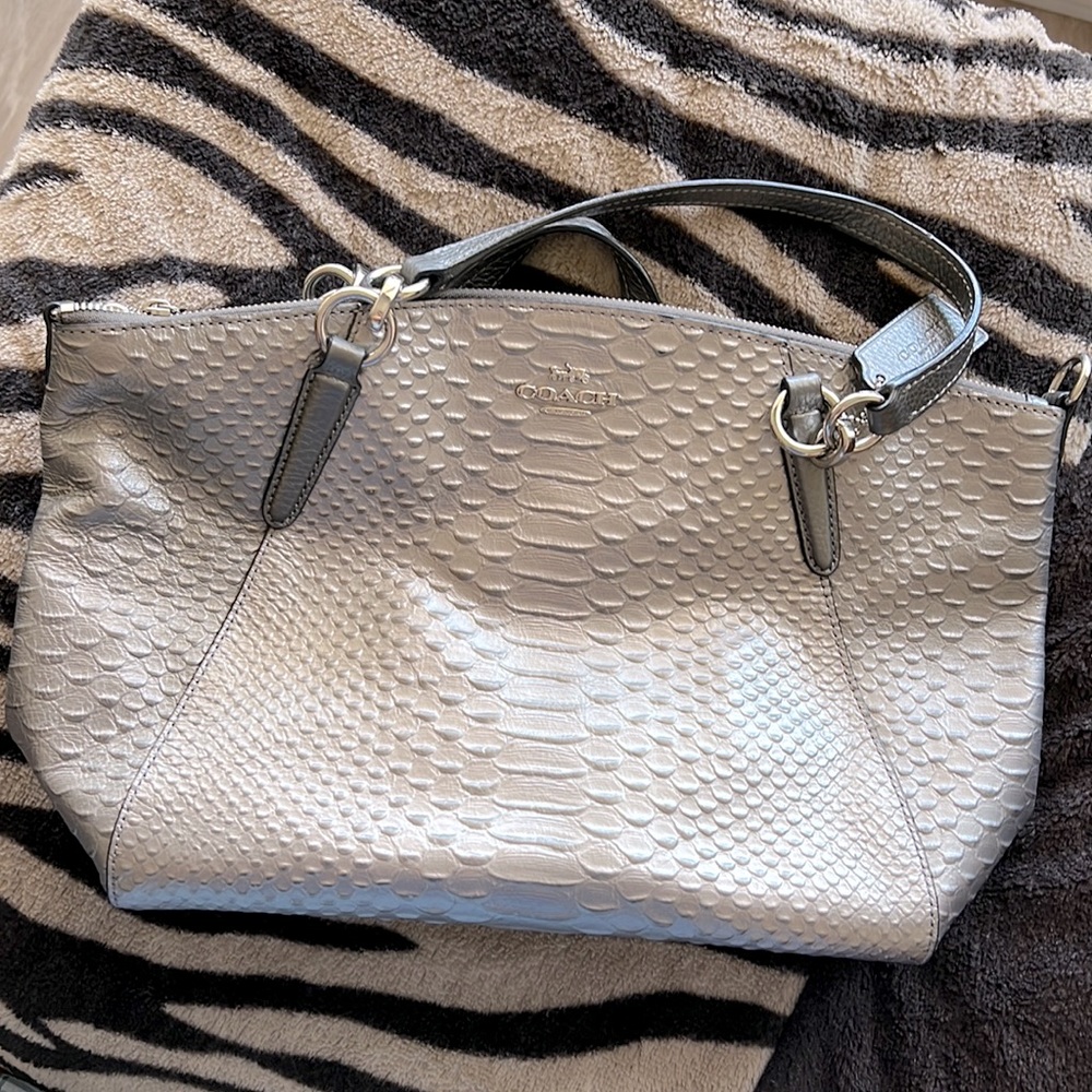 Coach Silver Bag